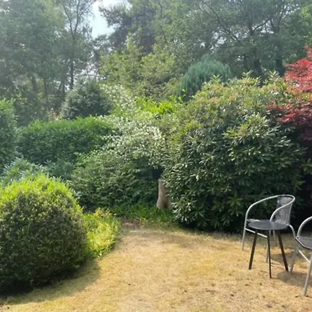 Feriehus Ruime En Comfortabele Aan Bosrand