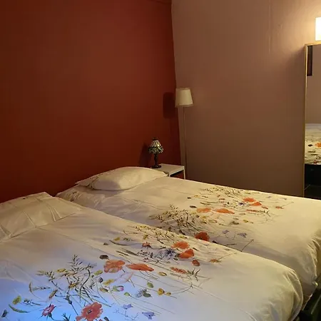 Ruime En Comfortabele Aan Bosrand * Lage Mierde