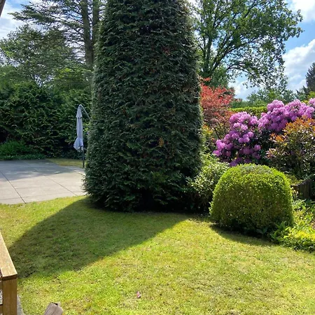 Hébergement de vacances Ruime En Comfortabele Aan Bosrand