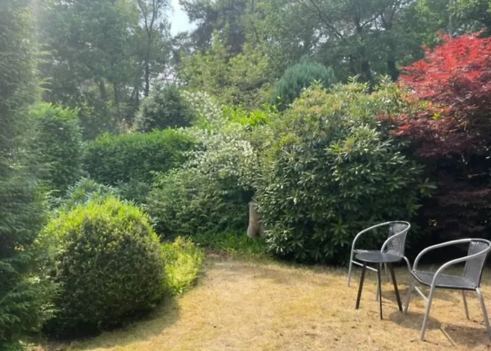 Hébergement de vacances Ruime En Comfortabele Aan Bosrand