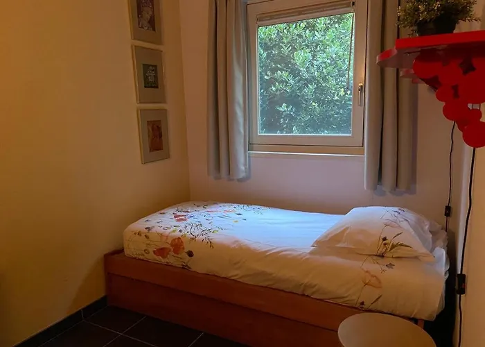 Ruime En Comfortabele Aan Bosrand