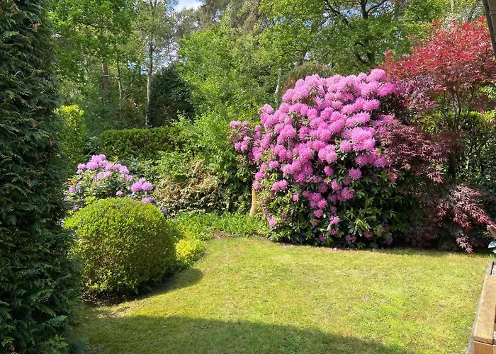 Ruime En Comfortabele Aan Bosrand Hébergement de vacances *