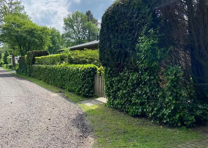 Ruime En Comfortabele Aan Bosrand * Lage Mierde