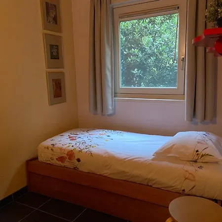 Ruime En Comfortabele Aan Bosrand