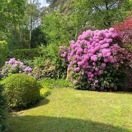 Ruime En Comfortabele Aan Bosrand בית נופש *