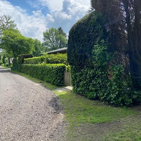 Ruime En Comfortabele Aan Bosrand * Lage Mierde